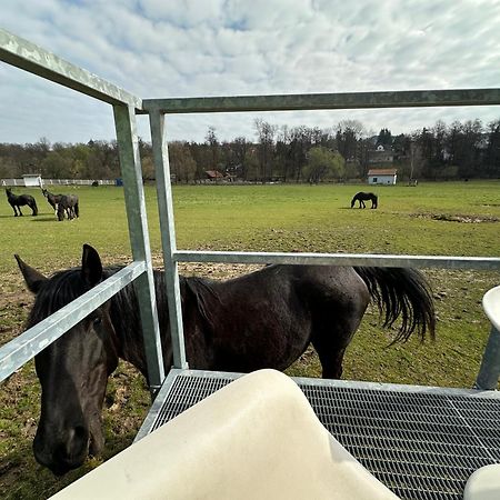 Glamping - Stylova Maringotka V Srdci Ladova Kraje, Pobliz Hlavniho Mesta Prahy Stribrna Skalice Esterno foto
