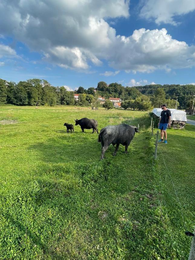 Glamping - Stylova Maringotka V Srdci Ladova Kraje, Pobliz Hlavniho Mesta Prahy Stribrna Skalice Esterno foto