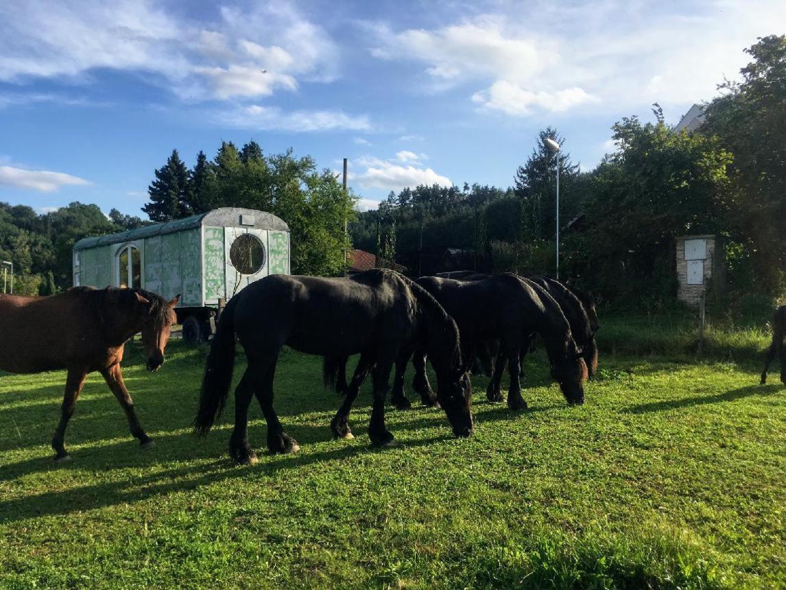 Glamping - Stylova Maringotka V Srdci Ladova Kraje, Pobliz Hlavniho Mesta Prahy Stribrna Skalice Esterno foto