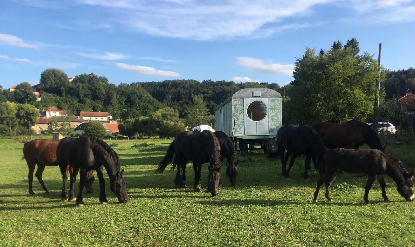 Glamping - Stylova Maringotka V Srdci Ladova Kraje, Pobliz Hlavniho Mesta Prahy Stribrna Skalice Esterno foto
